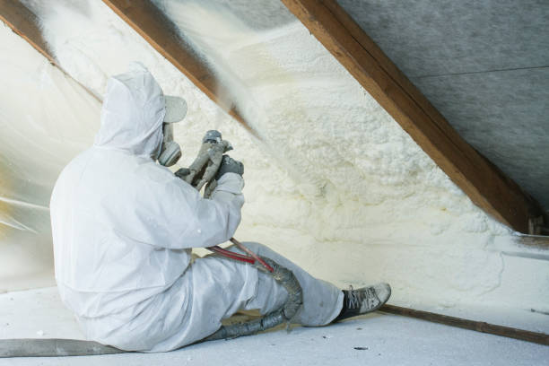 Best Insulation Air Sealing  in Sanibel, FL